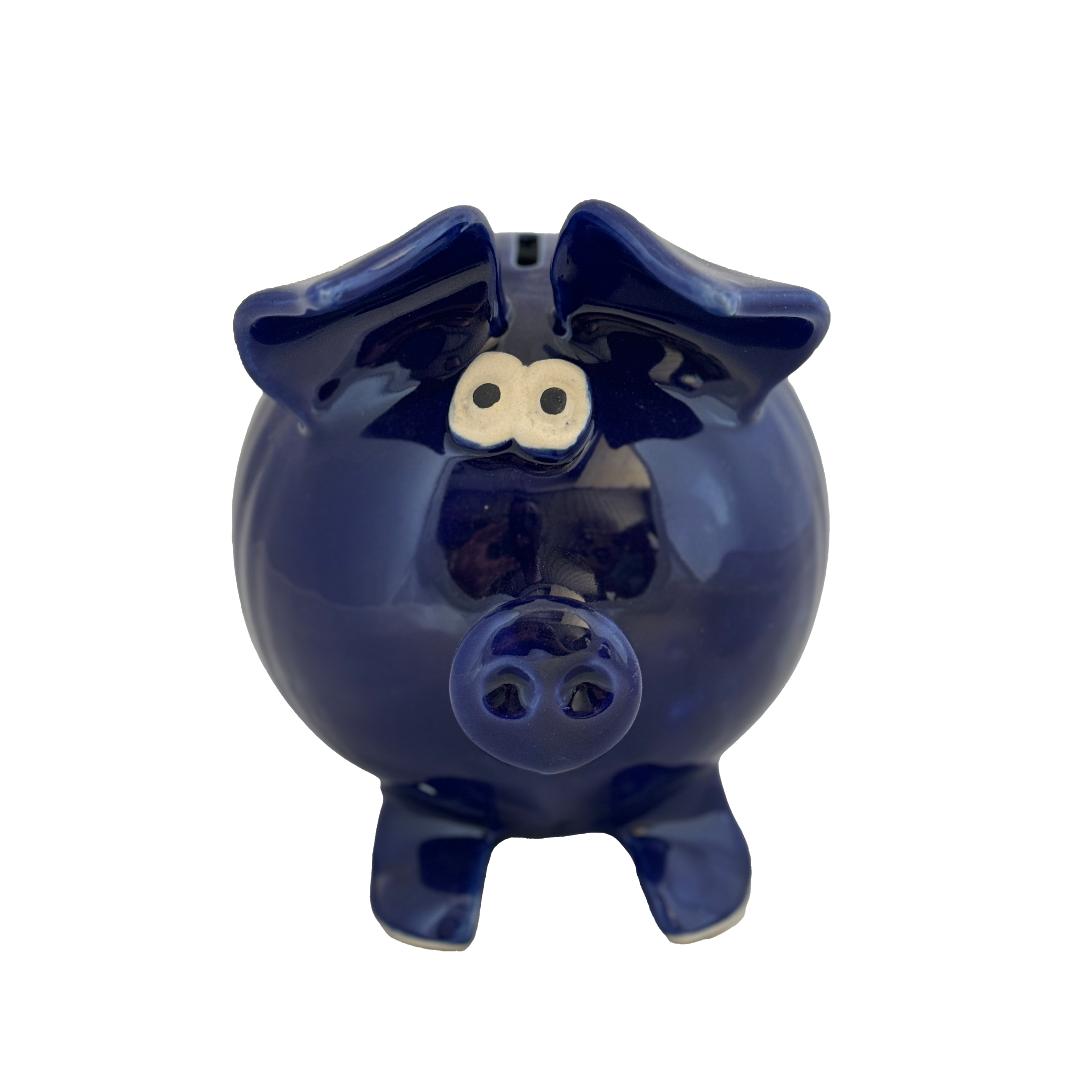 Handmade Painted Ceramic Piggy Bank