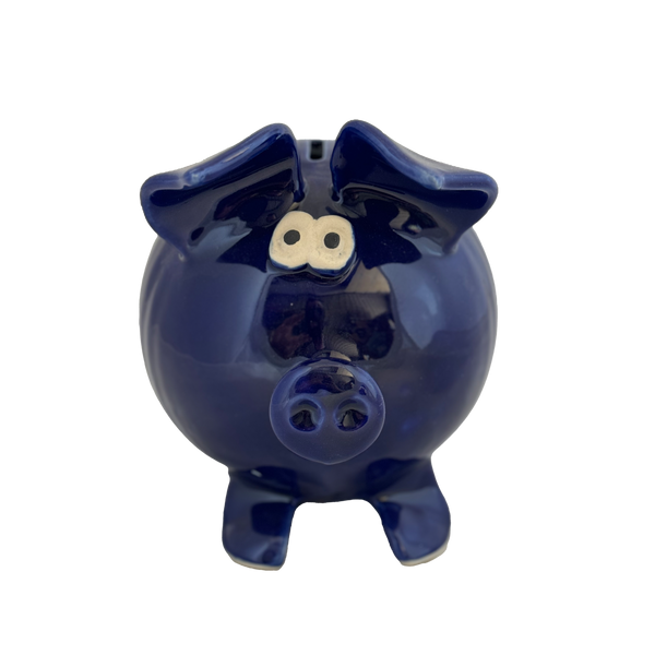 Handmade Painted Ceramic Piggy Bank