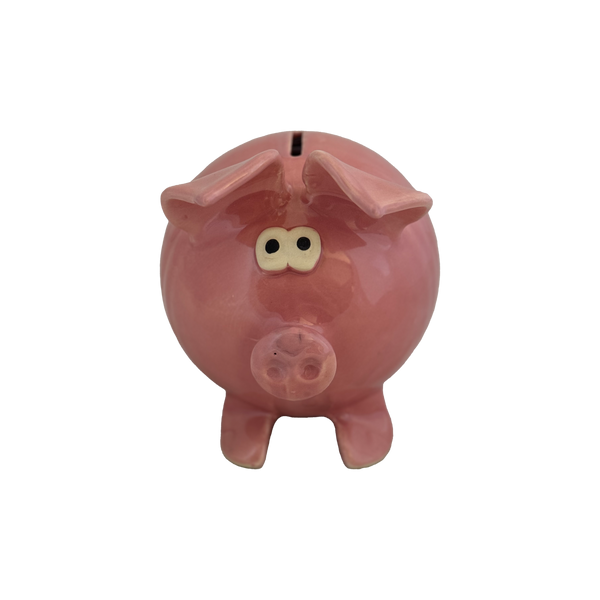 Handmade Painted Ceramic Piggy Bank
